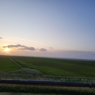 Mittel (20230528_211831)