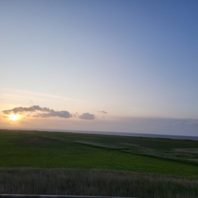 Mittel (20230528_211835)